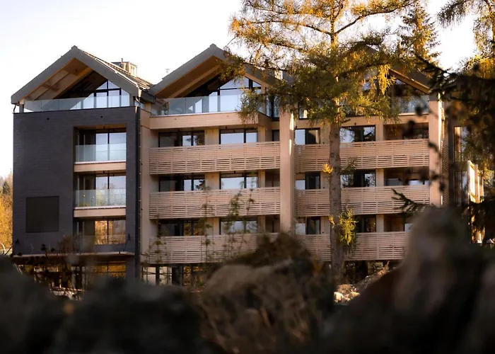 Corso-1 By Interhome Apartment Harrachov